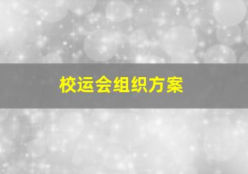 校运会组织方案