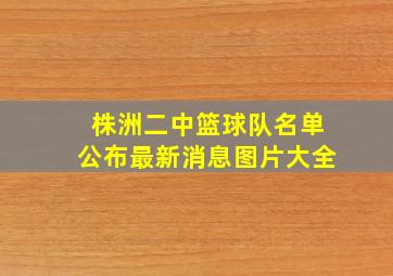 株洲二中篮球队名单公布最新消息图片大全