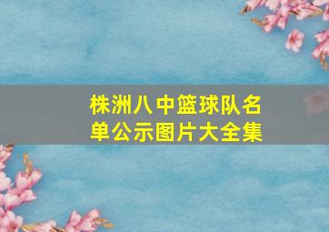 株洲八中篮球队名单公示图片大全集