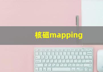 核磁mapping