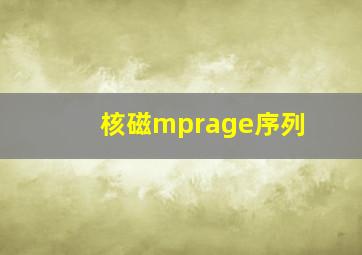 核磁mprage序列