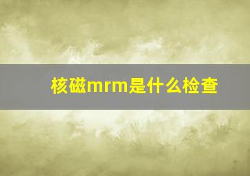 核磁mrm是什么检查