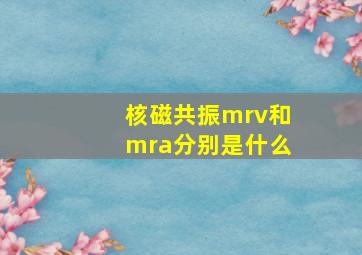 核磁共振mrv和mra分别是什么