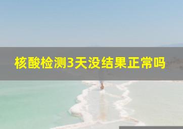 核酸检测3天没结果正常吗