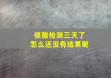 核酸检测三天了怎么还没有结果呢