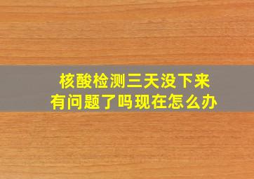 核酸检测三天没下来有问题了吗现在怎么办