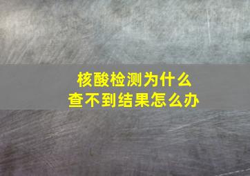 核酸检测为什么查不到结果怎么办