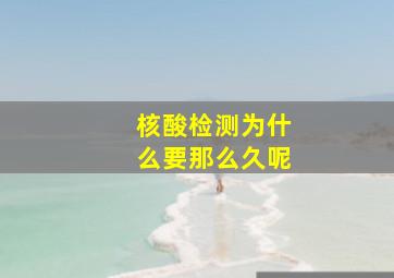 核酸检测为什么要那么久呢