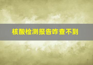 核酸检测报告咋查不到