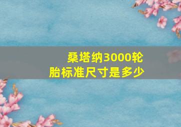 桑塔纳3000轮胎标准尺寸是多少