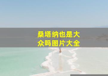 桑塔纳也是大众吗图片大全