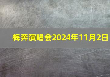 梅奔演唱会2024年11月2日