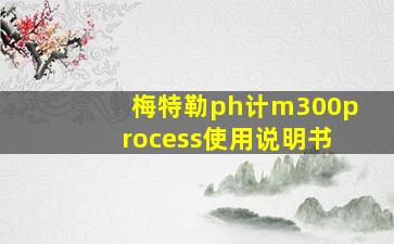 梅特勒ph计m300process使用说明书