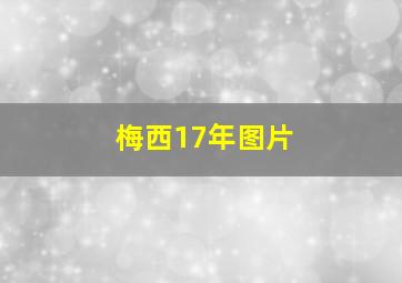 梅西17年图片