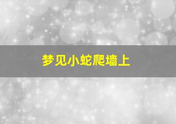 梦见小蛇爬墙上