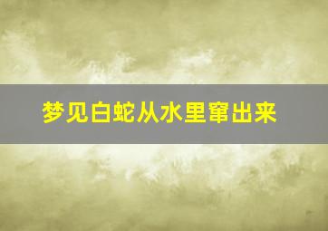 梦见白蛇从水里窜出来