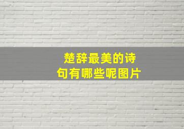 楚辞最美的诗句有哪些呢图片