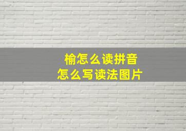 榆怎么读拼音怎么写读法图片