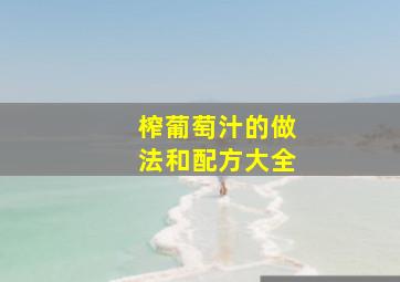 榨葡萄汁的做法和配方大全