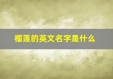 榴莲的英文名字是什么