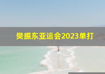 樊振东亚运会2023单打