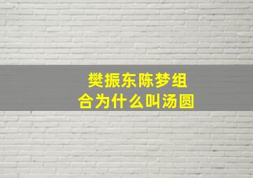 樊振东陈梦组合为什么叫汤圆