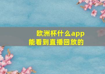 欧洲杯什么app能看到直播回放的