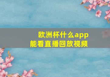 欧洲杯什么app能看直播回放视频