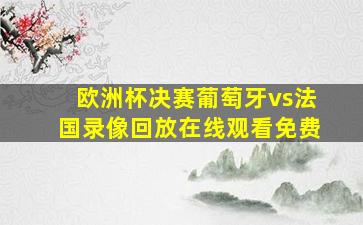 欧洲杯决赛葡萄牙vs法国录像回放在线观看免费