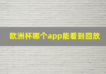 欧洲杯哪个app能看到回放