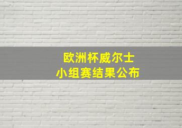 欧洲杯威尔士小组赛结果公布