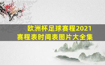 欧洲杯足球赛程2021赛程表时间表图片大全集