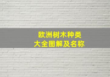 欧洲树木种类大全图解及名称