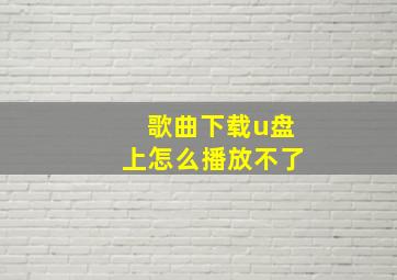 歌曲下载u盘上怎么播放不了