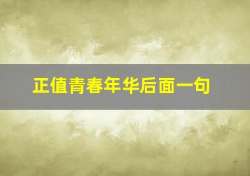 正值青春年华后面一句