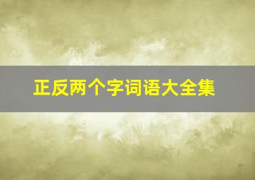 正反两个字词语大全集