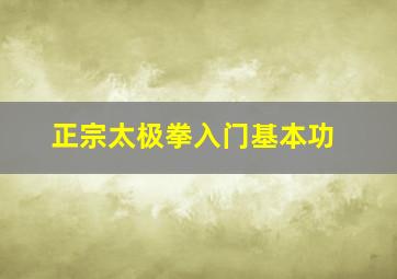 正宗太极拳入门基本功