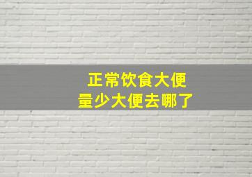 正常饮食大便量少大便去哪了