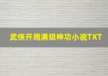 武侠开局满级神功小说TXT