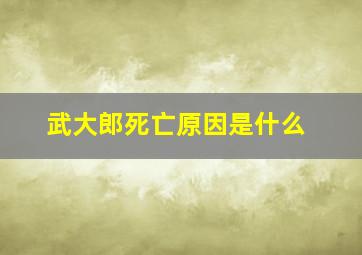 武大郎死亡原因是什么