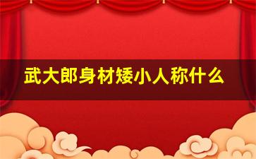 武大郎身材矮小人称什么