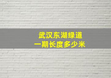 武汉东湖绿道一期长度多少米