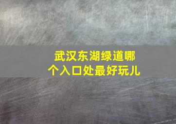 武汉东湖绿道哪个入口处最好玩儿