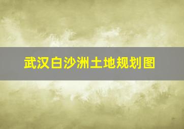 武汉白沙洲土地规划图