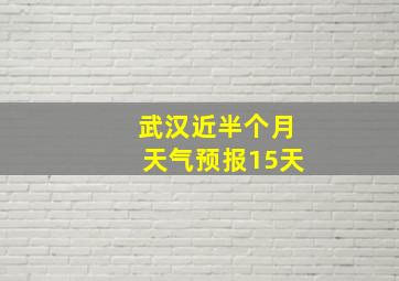 武汉近半个月天气预报15天