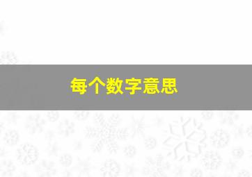 每个数字意思