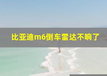 比亚迪m6倒车雷达不响了