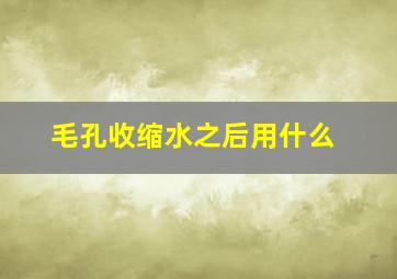 毛孔收缩水之后用什么