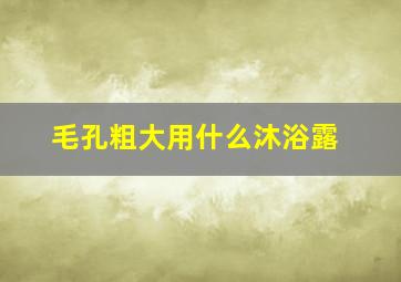 毛孔粗大用什么沐浴露