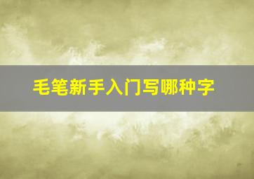 毛笔新手入门写哪种字